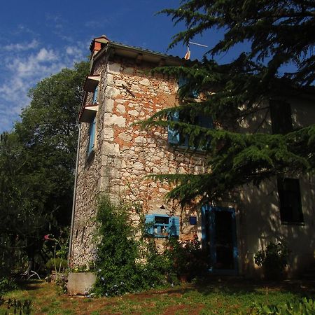 Holiday Home Botanica Дрене Экстерьер фото