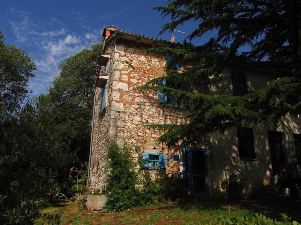 Holiday Home Botanica Дрене Экстерьер фото