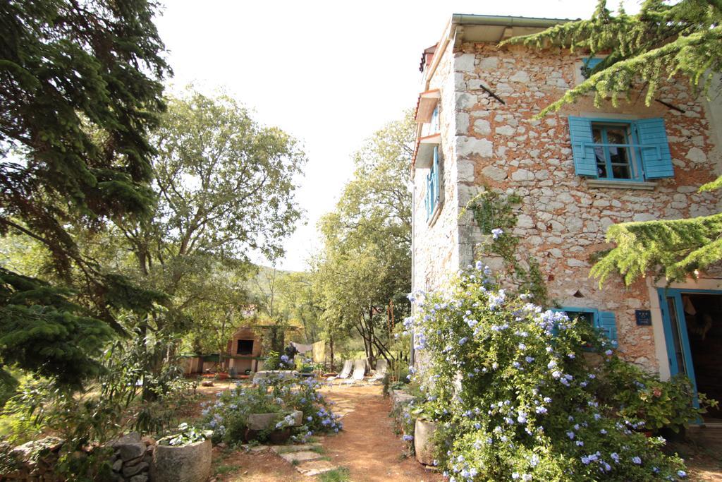 Holiday Home Botanica Дрене Номер фото