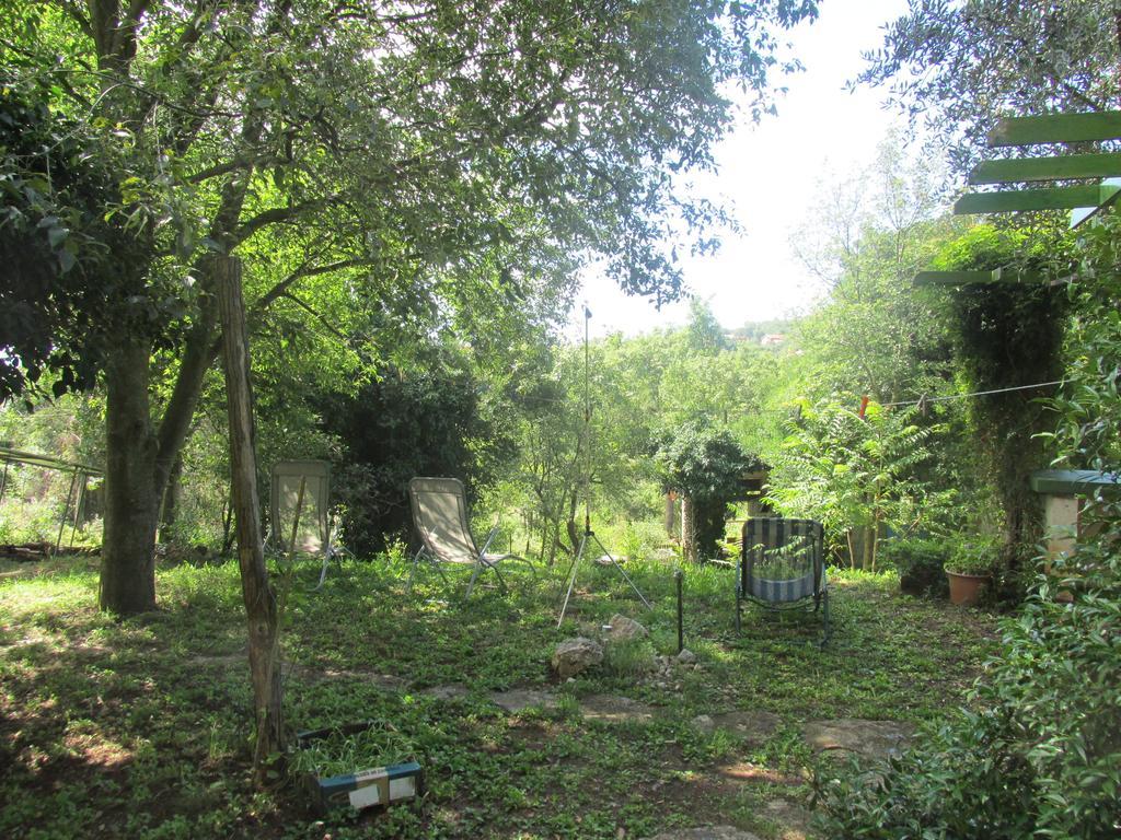 Holiday Home Botanica Дрене Номер фото