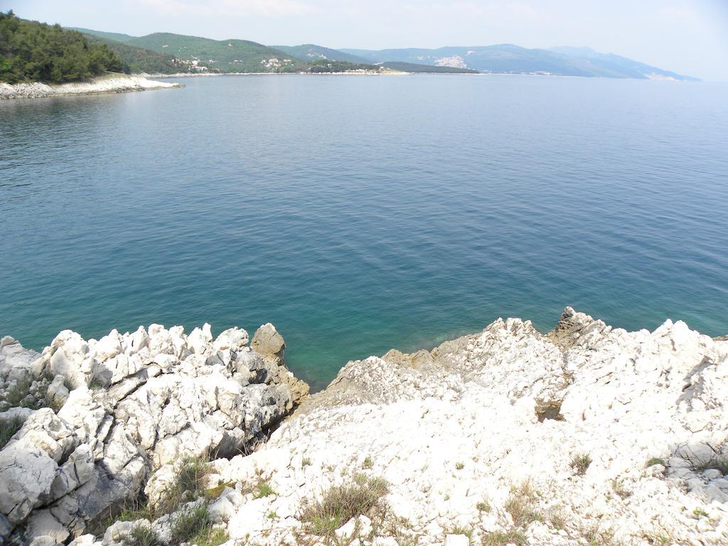 Holiday Home Botanica Дрене Номер фото