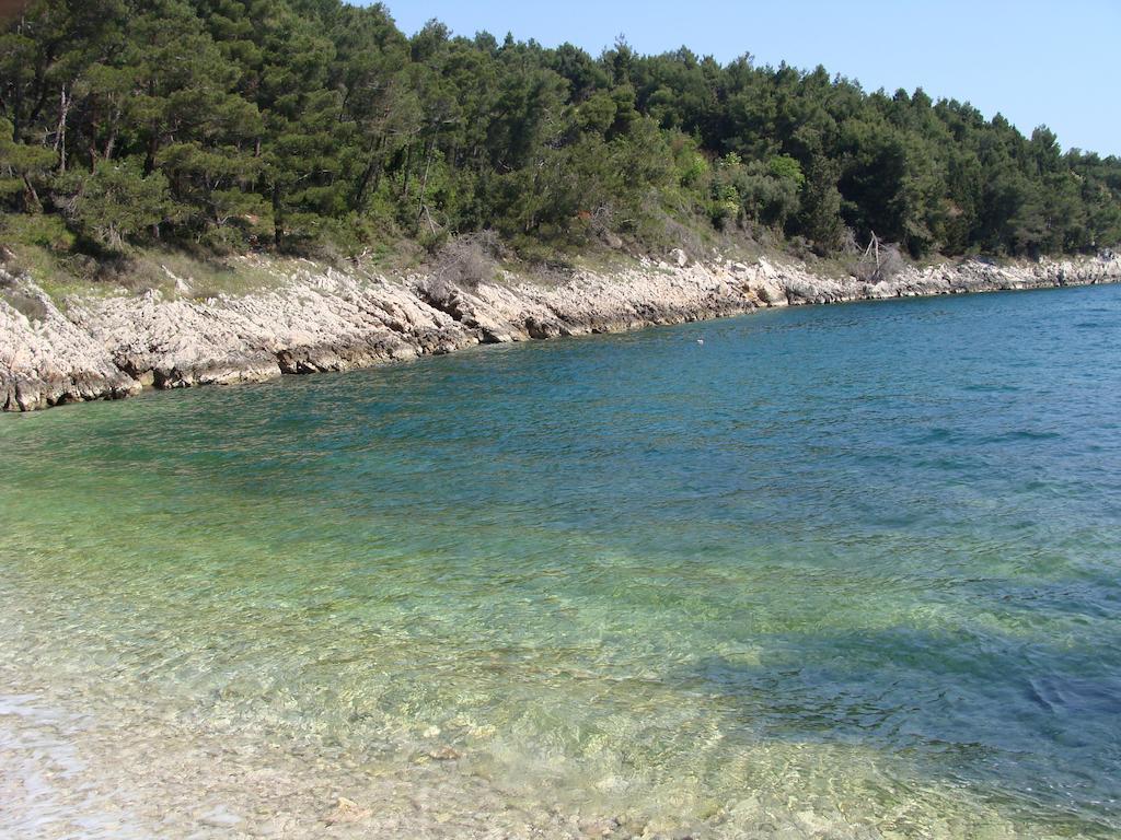 Holiday Home Botanica Дрене Номер фото