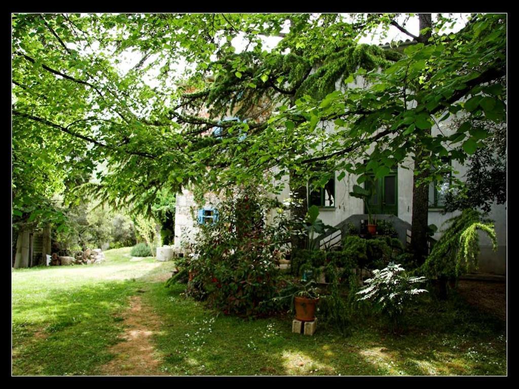 Holiday Home Botanica Дрене Номер фото